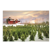 Tree Farm Red Barn Pick Your Tree