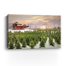 Tree Farm Red Barn Pick Your Tree