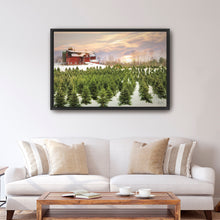 Tree Farm Red Barn Pick Your Tree