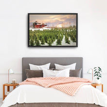 Tree Farm Red Barn Pick Your Tree