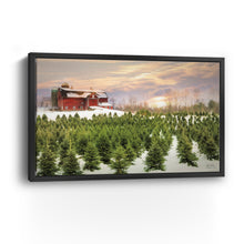 Tree Farm Red Barn Pick Your Tree