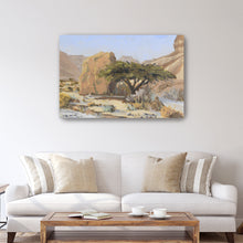 Acacia Tree With Rock in Wadi Tzvira