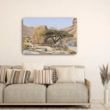 Acacia Tree With Rock in Wadi Tzvira