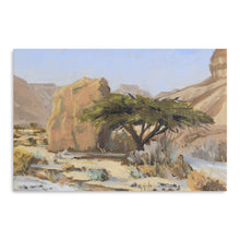 Acacia Tree With Rock in Wadi Tzvira