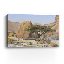 Acacia Tree With Rock in Wadi Tzvira