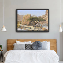 Acacia Tree With Rock in Wadi Tzvira