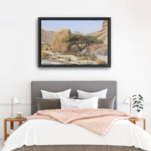 Acacia Tree With Rock in Wadi Tzvira