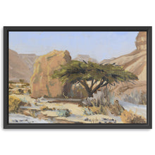 Acacia Tree With Rock in Wadi Tzvira