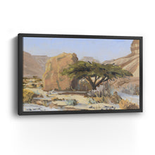 Acacia Tree With Rock in Wadi Tzvira