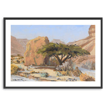 Acacia Tree With Rock in Wadi Tzvira