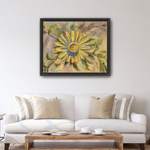 Asteriscus Graveolens