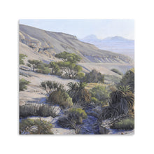 Ein Tamid Oasis Part 1