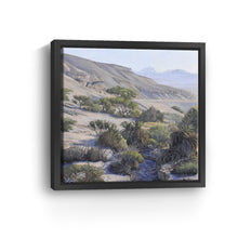 Ein Tamid Oasis Part 1