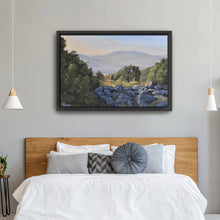 Hollyhocks in the Galilee