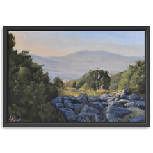 Hollyhocks in the Galilee