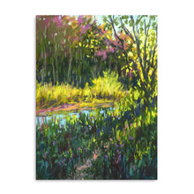 Spring at Etobicoke Creek