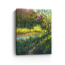 Spring at Etobicoke Creek