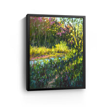 Spring at Etobicoke Creek