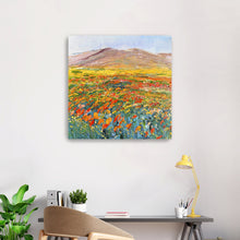 California Flower Field