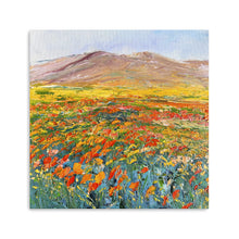 California Flower Field