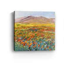 California Flower Field