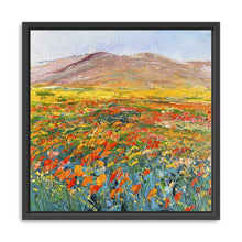 California Flower Field