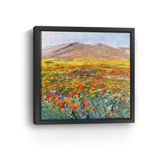 California Flower Field