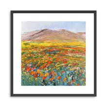 California Flower Field