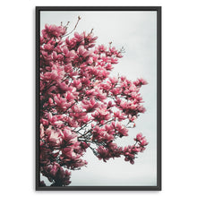 Magnolia Tree
