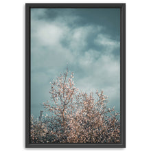 Almond Blossom I