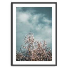 Almond Blossom I