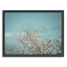 Almond Blossom II