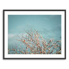 Almond Blossom II