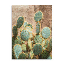 Cactus I