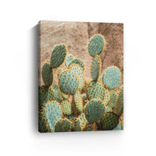 Cactus I