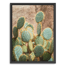Cactus I
