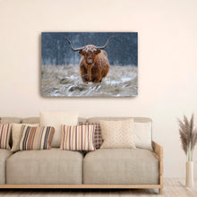 Guijt - Snowy Highland Cow