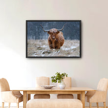 Guijt - Snowy Highland Cow