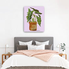 Alocasia (Elephant Ear)