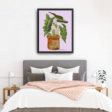 Alocasia (Elephant Ear)