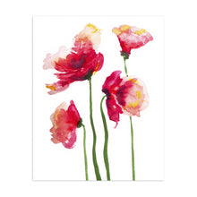 Poppies Watercolor
