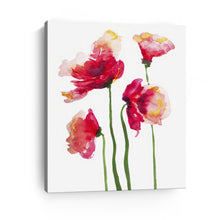 Poppies Watercolor