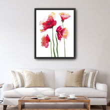 Poppies Watercolor