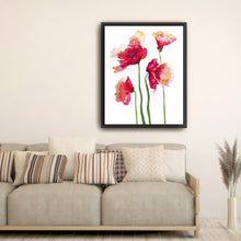 Poppies Watercolor