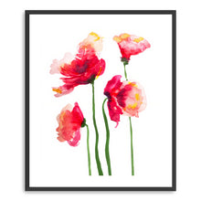 Poppies Watercolor