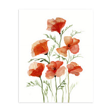Orange Poppies Raw