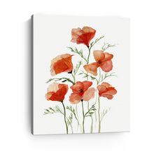 Orange Poppies Raw