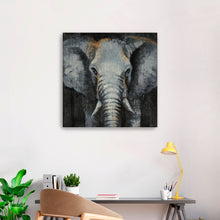 Safari Animals Elephant