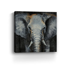 Safari Animals Elephant