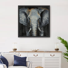 Safari Animals Elephant